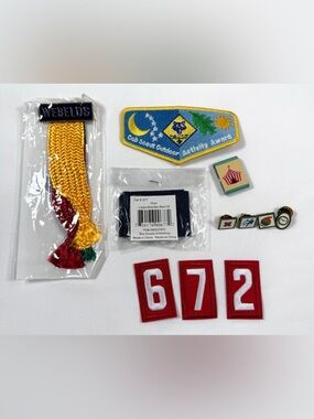 BOY SCOUTS OF AMERICA Webelos Badges Patches Pins Set Outdoor Activity Awards